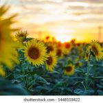 展现娇嫩诱人魅力的美女图片欣赏 2vqjlpggc