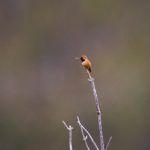 套路app倒闭了:背后原因分析与未来发展趋势探讨 pj2fwe