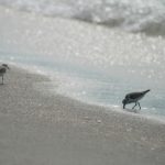 探索脚本油猴中文网:提升浏览器体验的必备工具 lld7a7