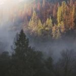 抖娘利世:探索虚拟偶像背后的创作与影响 p393tsl